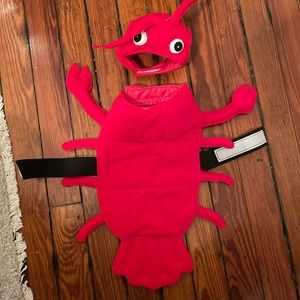 Small Dog Lobster Costume